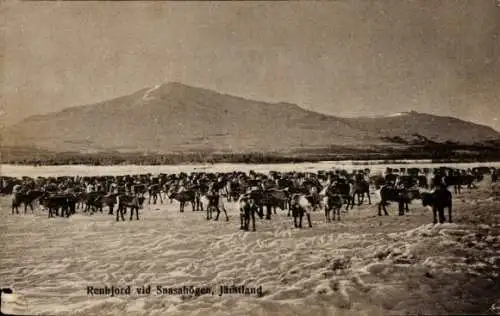 Ak Jämtland Schweden, Rentiere