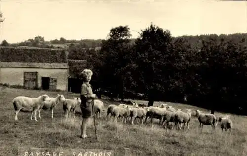 Ak Sarthe Frankreich, Hirte, Bauer, Schafe, Landwirtschaft