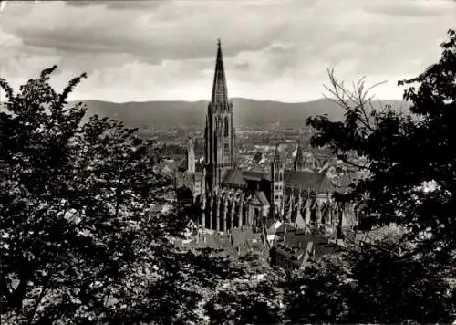 Ak Freiburg im Breisgau, Münster, Panorama