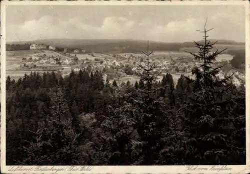 Ak Finsterbergen Friedrichroda im Thüringer Wald, Blick vom Hainfelsen