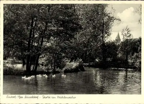 Ak Lintorf Ratingen im Kreis Mettmann, Mühlenweiher