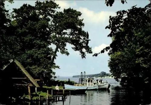 Ak Ratzeburg im Herzogtum Lauenburg, Fischerei am Großen Ratzeburger See