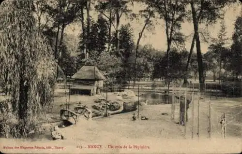 Ak Nancy Meurthe et Moselle, un coin de la Pepiniere