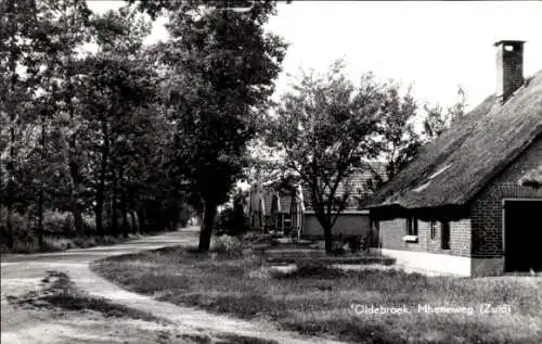 Ak Oldebroek Gelderland, Mheneweg, Süden