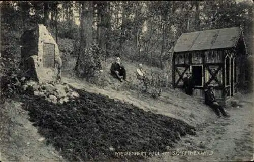 Ak Meisenheim am Glan Pfalz, Schaffnerwald