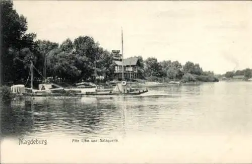 Ak Magdeburg an der Elbe, Alte Elbe, Salzquelle