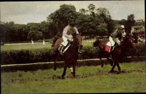 Ak Pferderennsport, Hindernisrennen, Jockeys auf Pferden, Postillon 1967