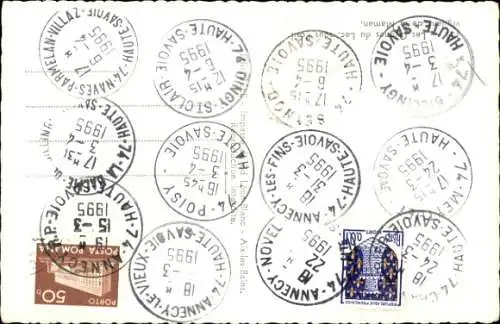 Ak Schwäne, Teich, Jungtiere