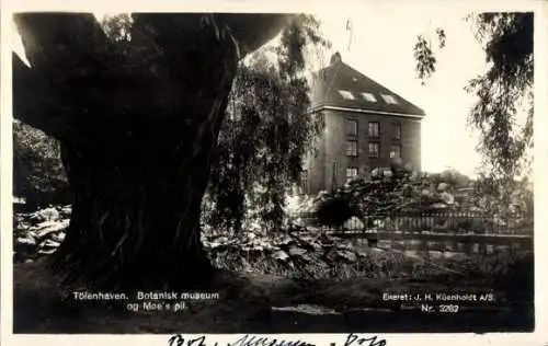 Ak Töfenhaven Finnland, Botanisk museum