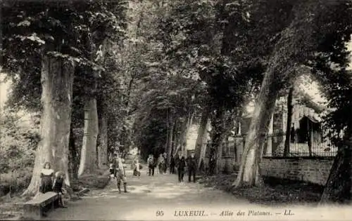 Ak Luxeuil les Bains Haute Saône, Allee des Platanes