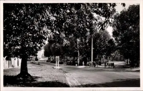 Ak Miramont-de-Guyenne Lot-et-Garonne, Avenue de Marmande