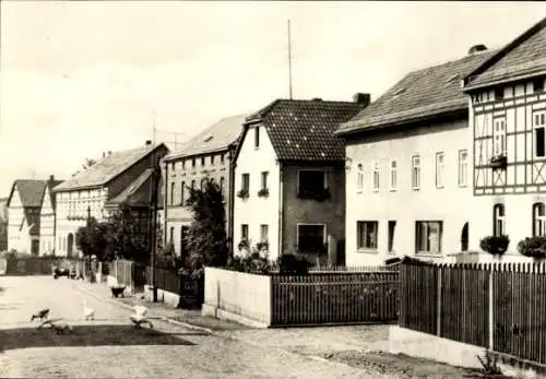 Ak Wilhelmsdorf an der Saale Thüringen, Straßenpartie, Häuserreihe