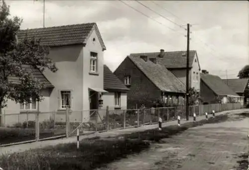 Ak Zirtow Wesenberg in Mecklenburg, Dorfstraße