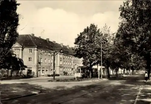 Ak Dessau in Sachsen Anhalt, Heidestraße