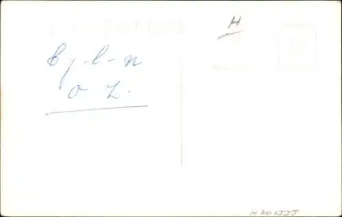 Ak Bärenmutter mit ihren drei Jungtieren im Nationalpark