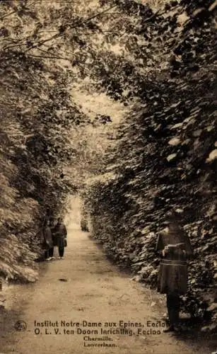 Ak Eecloo Eeklo Ostflandern, Wegepartie