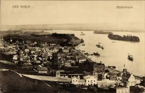 Ak Rüdesheim am Rhein, Blick von oben, Panorama