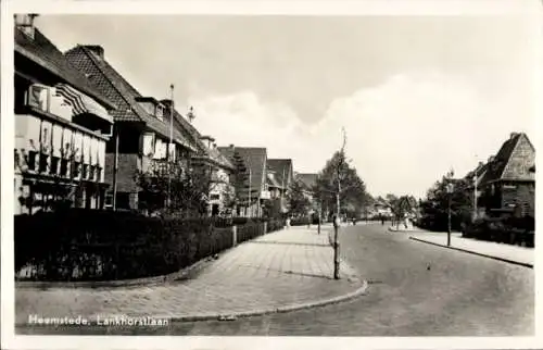 Ak Heemstede Nordholland Niederlande, Lankhorstlaan