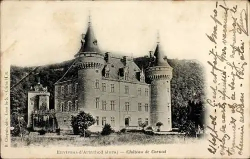 Ak Cornod Jura, Schloss