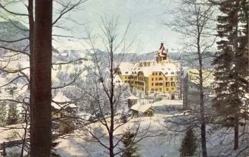 Ak Semmering in Niederösterreich, Hotel Erzherzog Johann im Winter