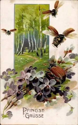Ak Glückwunsch Pfingsten, Maikäfer, Veilchen