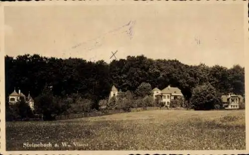 Ak Steinebach Walchstadt Wörthsee in Oberbayern, Villen