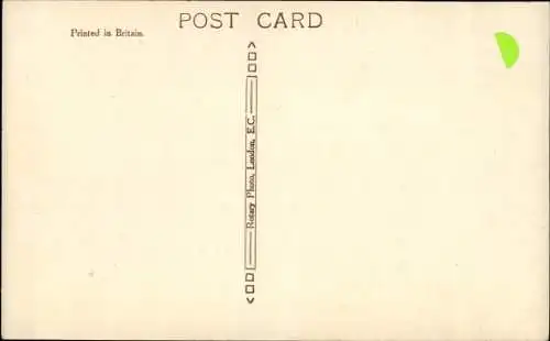 Ak Potrait eines Terriers und einem Katzenbaby