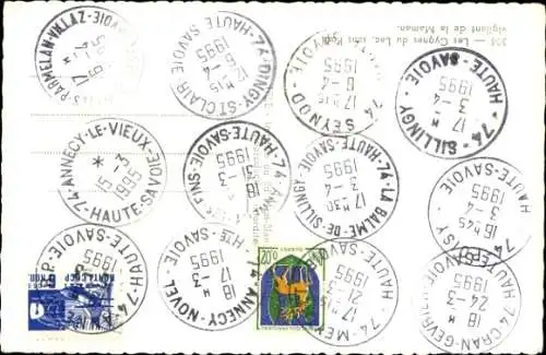 Ak Schwäne, Teich, Jungtiere