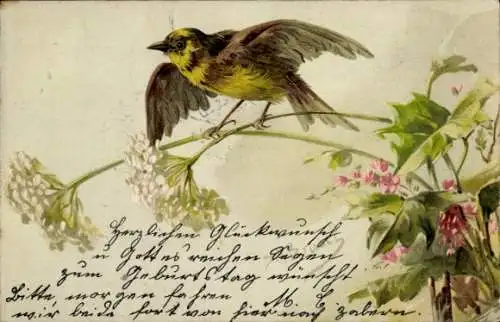 Litho Spatz, Blühende Blumen, Vogel