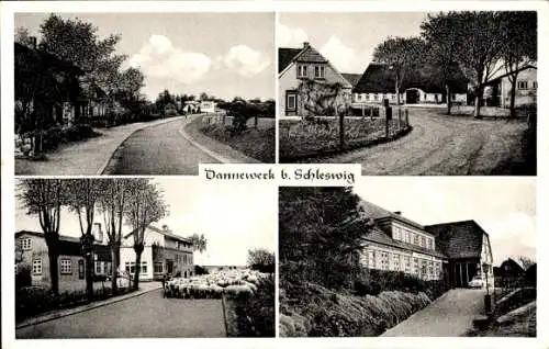 Ak Dannewerk in Schleswig Holstein, Schafsherde, Straßenpartie, Ortspartie