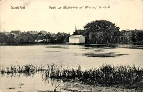 Ak Bredstedt in Nordfriesland, Mühlenteich, Stadtblick