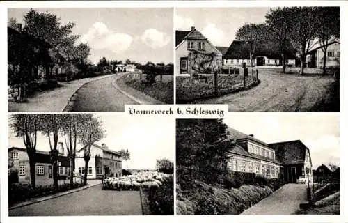 Ak Dannewerk in Schleswig Holstein, Schafsherde, Straßenpartie, Ortspartie