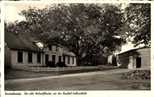 Ak Norderbrarup in Schleswig Holstein, Knüttel Volksschule, Walnußbaum, Straßenansicht