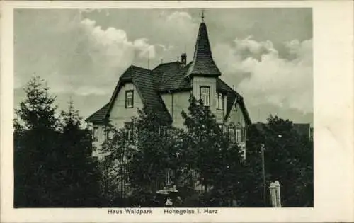 Ak Hohegeiß Braunlage im Oberharz, Haus Waldpark