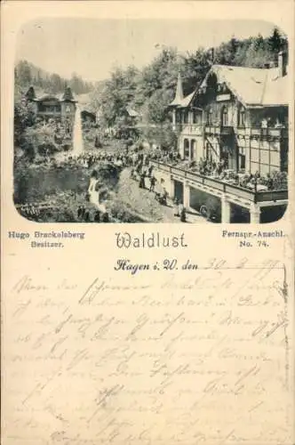 Ak Hagen in Westfalen, Waldlust