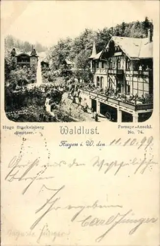 Ak Hagen in Westfalen, Waldlust