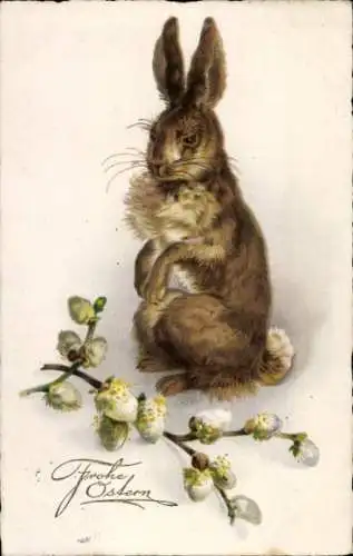 Ak Glückwunsch Ostern, Osterhase, Weidenkätzchen