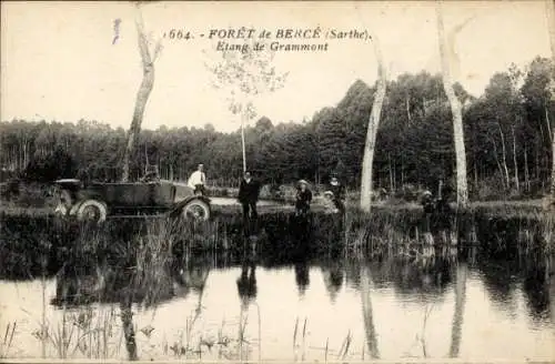 Ak Foret de Berce Sarthe, Etang de Grammont