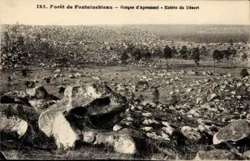 Ak Fontainebleau Seine et Marne, Gorges d'Apremont, Entree du Desert