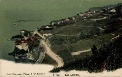 Ak Rivaz Kanton Waadt, Lac Leman