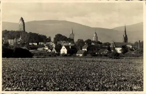 Ak Paczków Patschkau Oberschlesien, Gesamtansicht