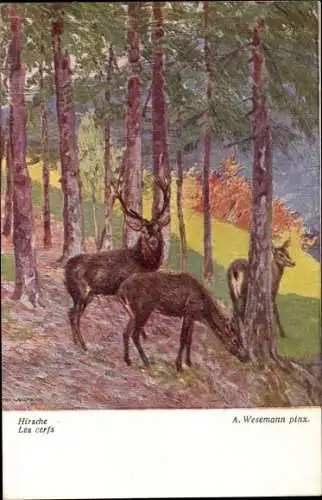 Künstler Ak Wesemann, Hirsche im Wald