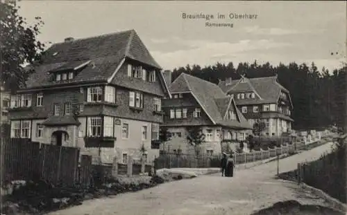 Ak Braunlage im Oberharz, Ramsenweg