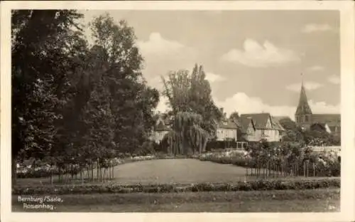 Ak Bernburg an der Saale, Rosenhag