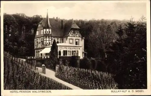 Ak Bullay an der Mosel, Waldfrieden Hotel Pension, Gesamtansicht, Weinberg