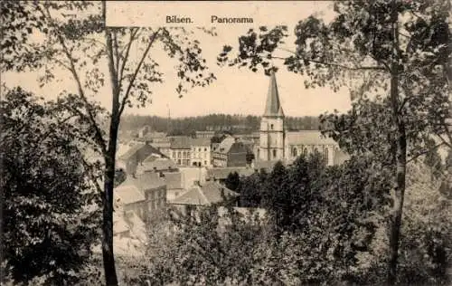 Ak Bilsen Flandern Limburg, Panorama