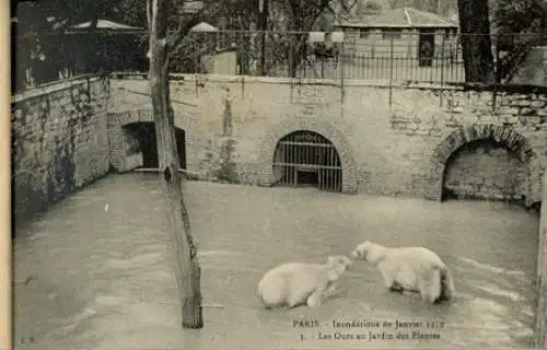 kleines Album mit 20 Bilder Inondations De Paris Janvier 1910