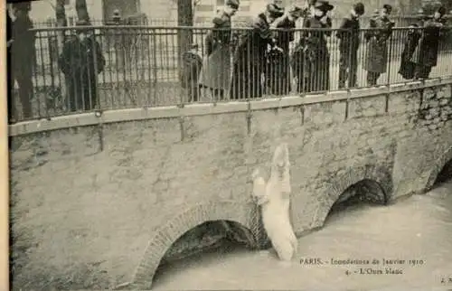 kleines Album mit 20 Bilder Inondations De Paris Janvier 1910