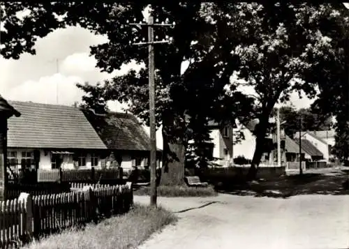 Ak Kleinzerlang Rheinsberg in Brandenburg, Partie im Ort