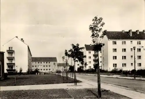 Ak Ludwigsfelde im Kreis Teltow Fläming, Erich Weinert Straße, Wohnsiedlung